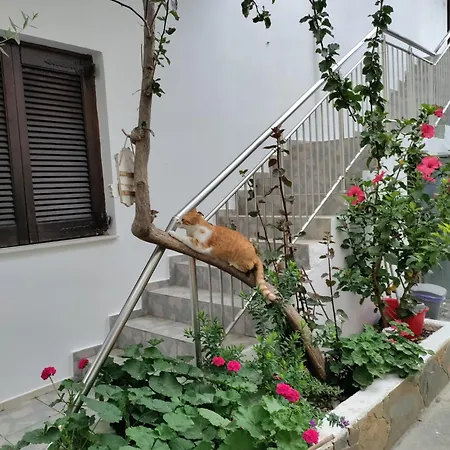 Maria'S Apartments Kalivai
